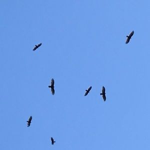 Meet your Posher, Florence